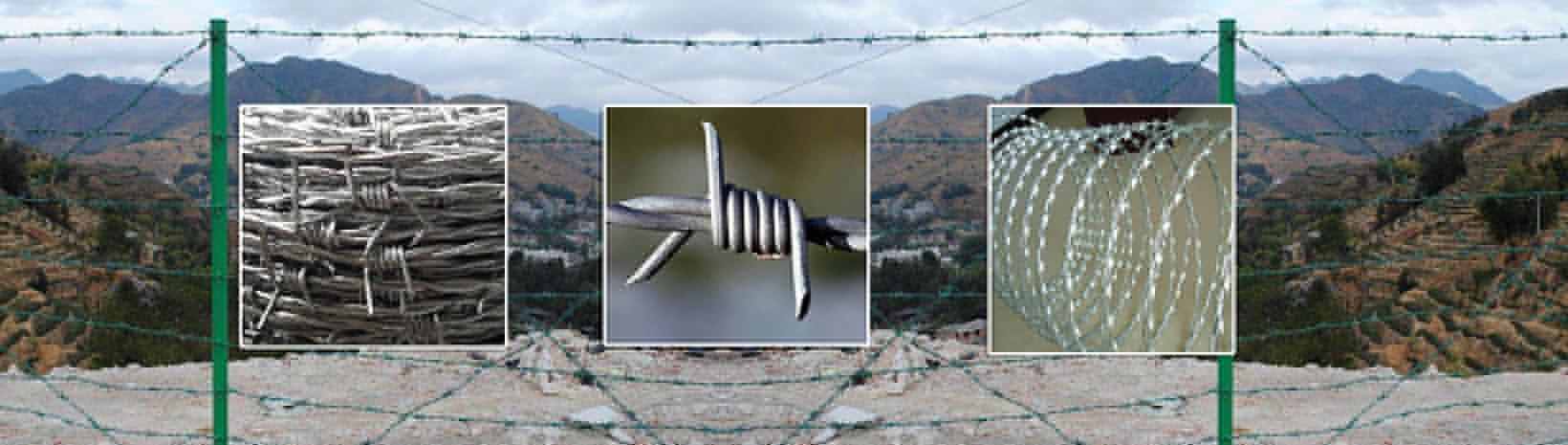 米兰体育app登录